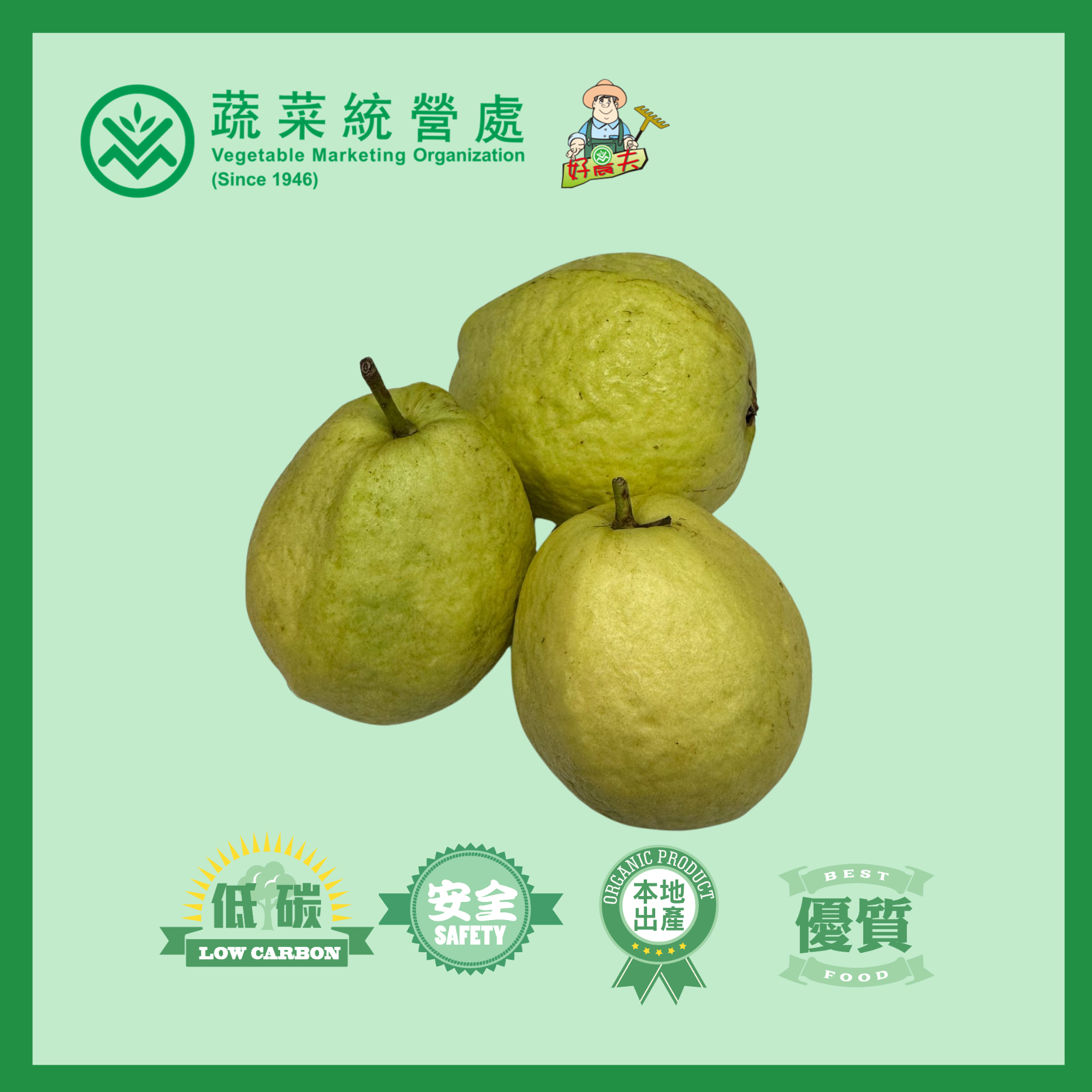 本地有機番石榴（白肉/粉紅肉） (斤)