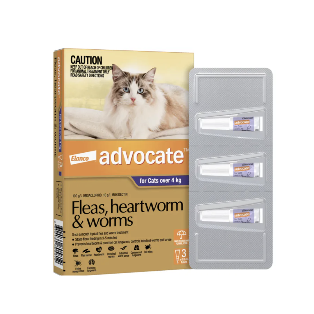 Advocate - 心疥爽大貓 (4-8公斤)