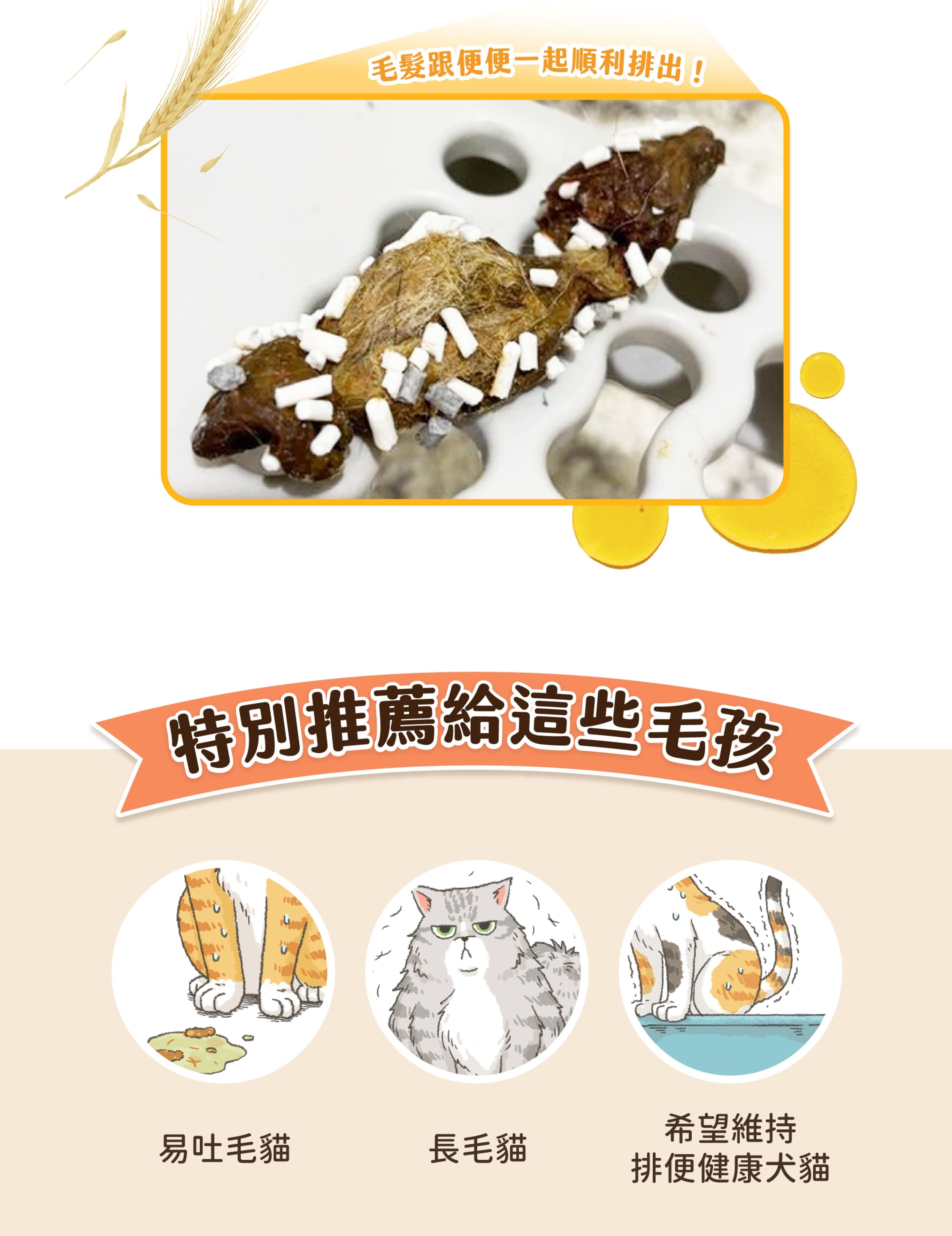 台灣汪喵星球 DogCatStar - 寵物天然排毛粉 l 貓星人基地 MeowZone