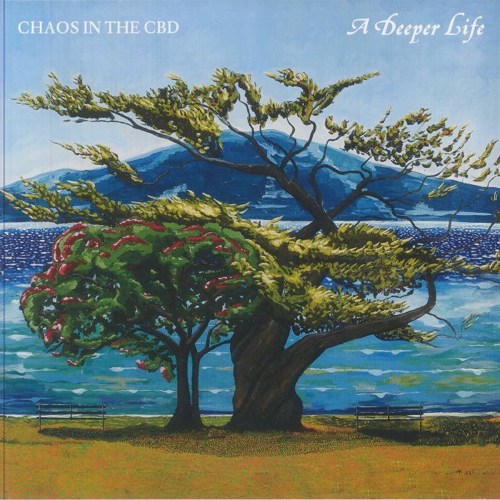 Chaos In The CBD《A Deeper Life》（2LP）
