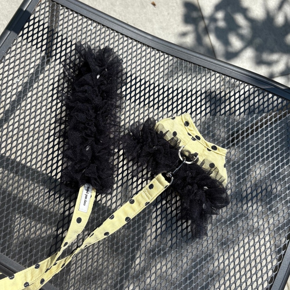 COZY-N 圓點泡芙拉繩