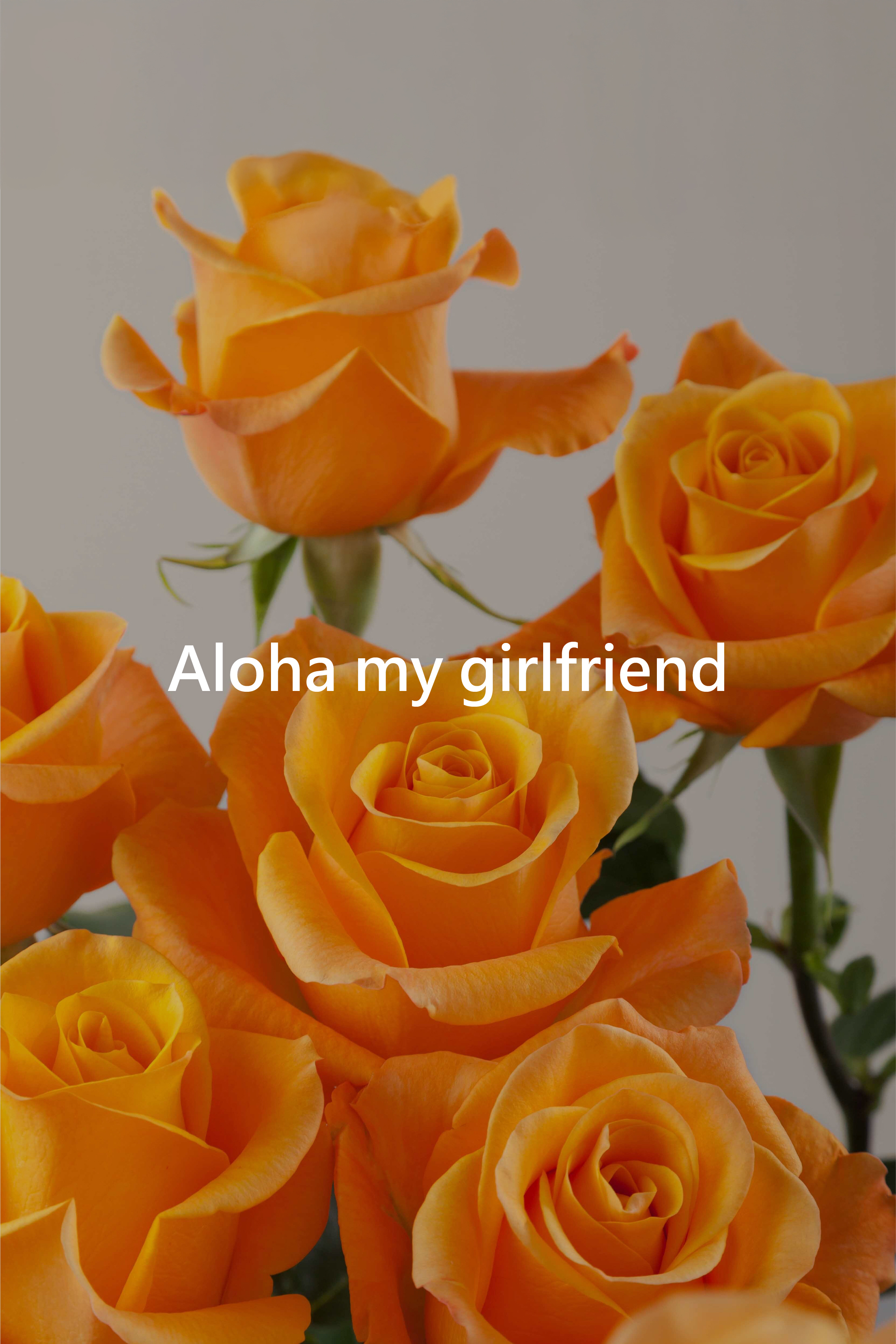 Just Rose 厄瓜多頂級玫瑰花束| 擇你所愛