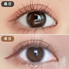 LARME Melty Series 1 Day Truffle Mocha 松露摩卡｜日拋彩妝隱形眼鏡｜每盒10片