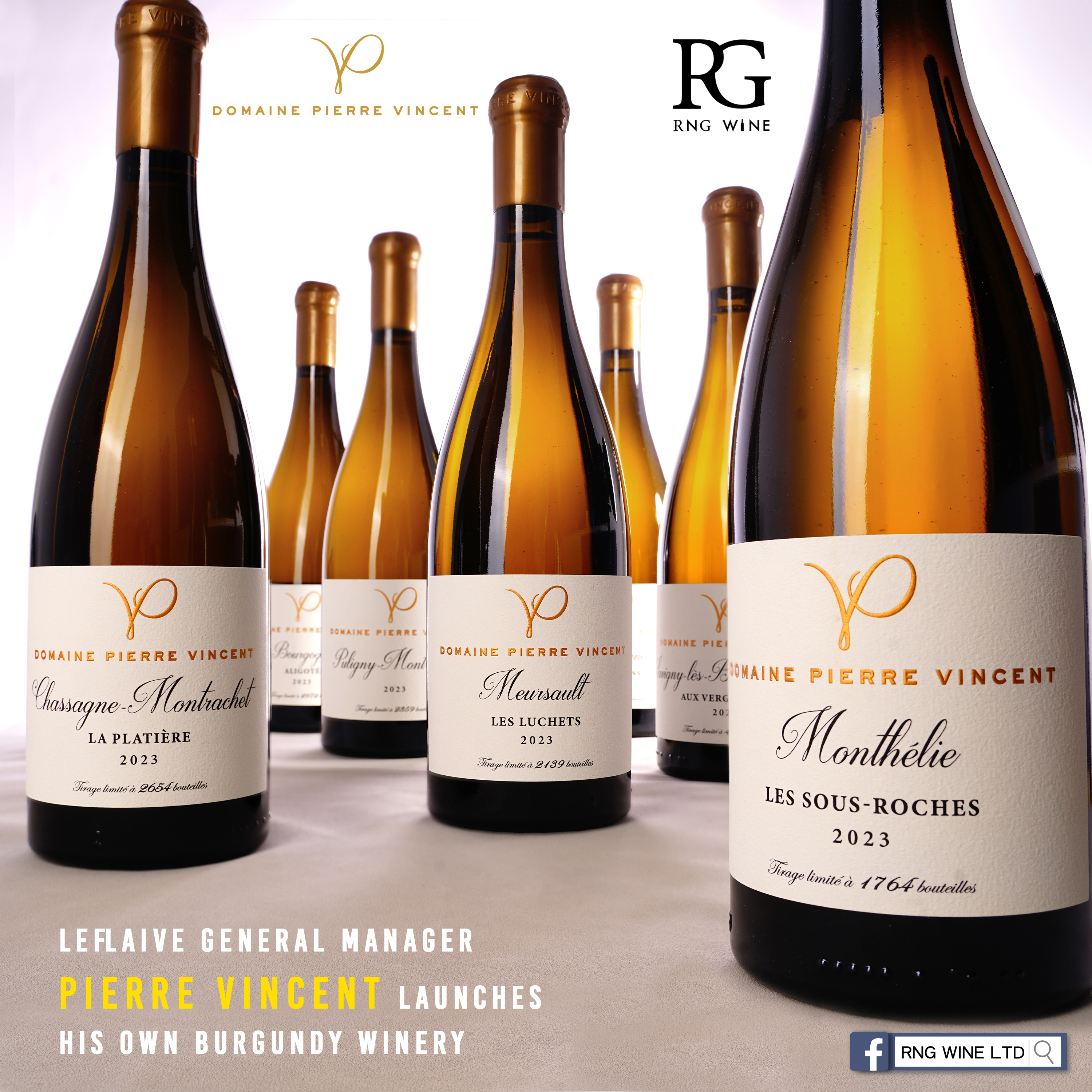 Pierre Vincent Corton Charlemagne Grand Cru 2023