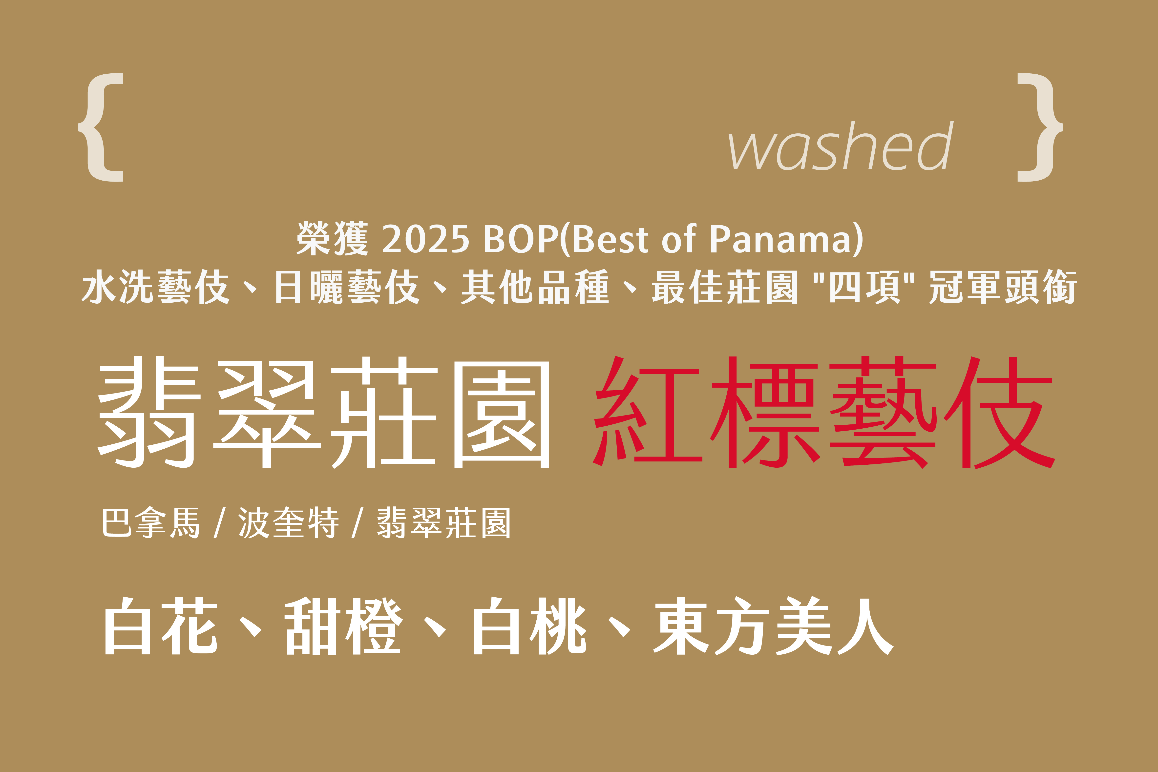 巴拿馬 波奎特 翡翠莊園 紅標藝伎 波頓地塊 (120g)