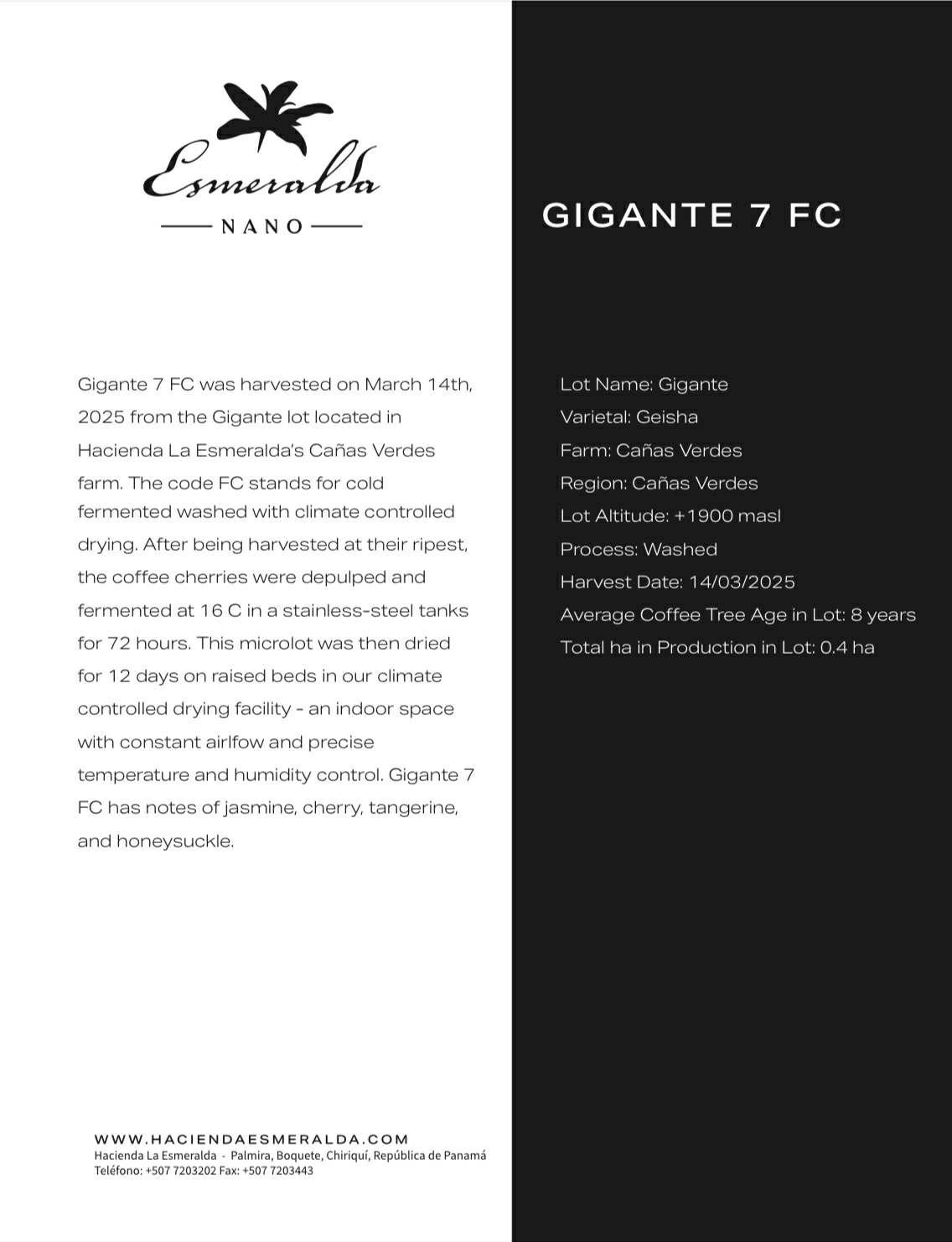 2025 巴拿馬 翡翠莊園 黑標 Gigante 7FC 藝伎 瑰夏 奈米批次 淺焙 咖啡豆