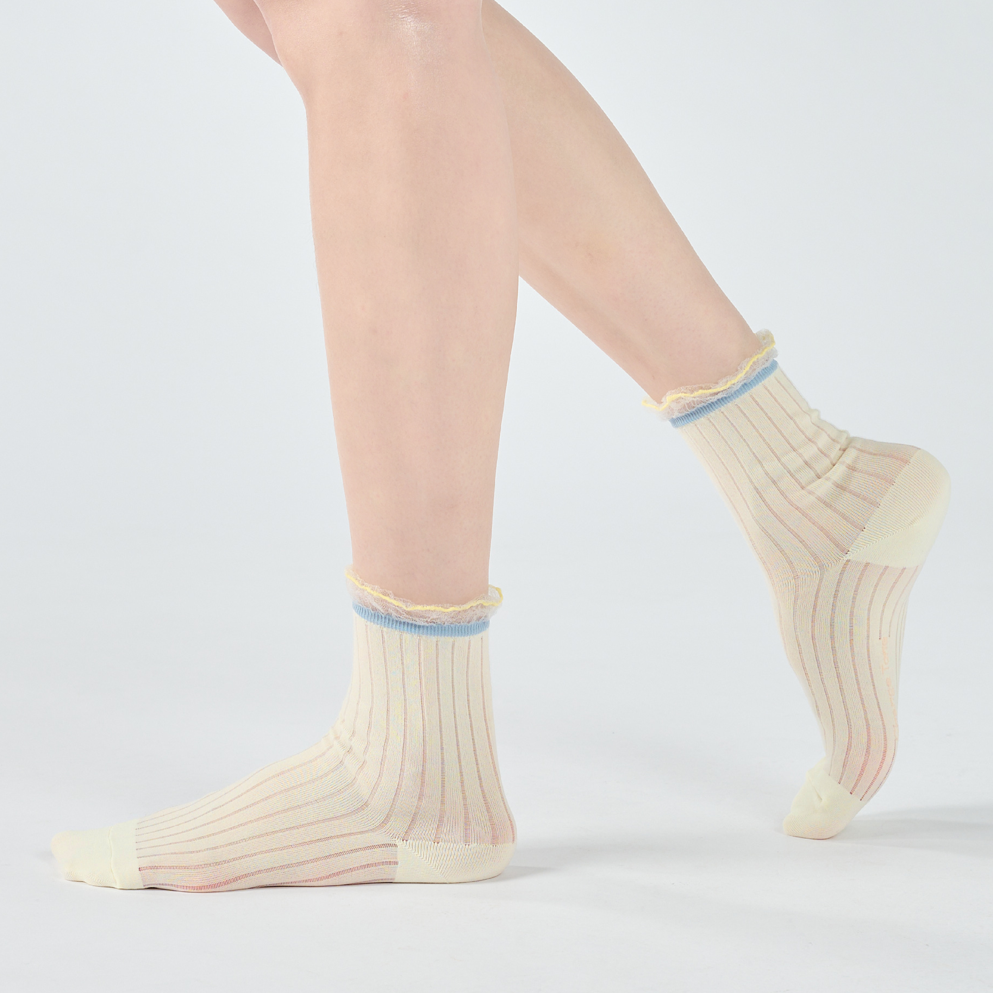 小雛菊〈米白〉