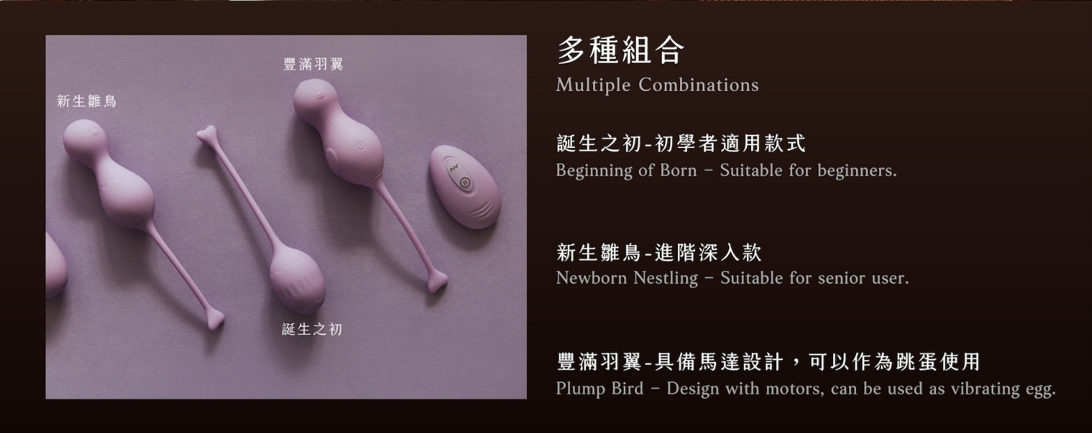 WINYI｜重生鳥 聰明球組合 HEIDI