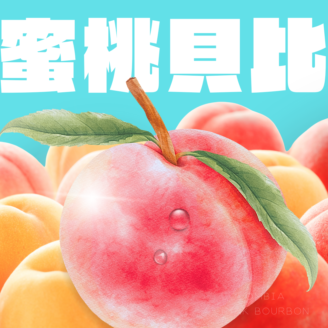 哥倫比亞 蜜桃貝比 粉紅波旁