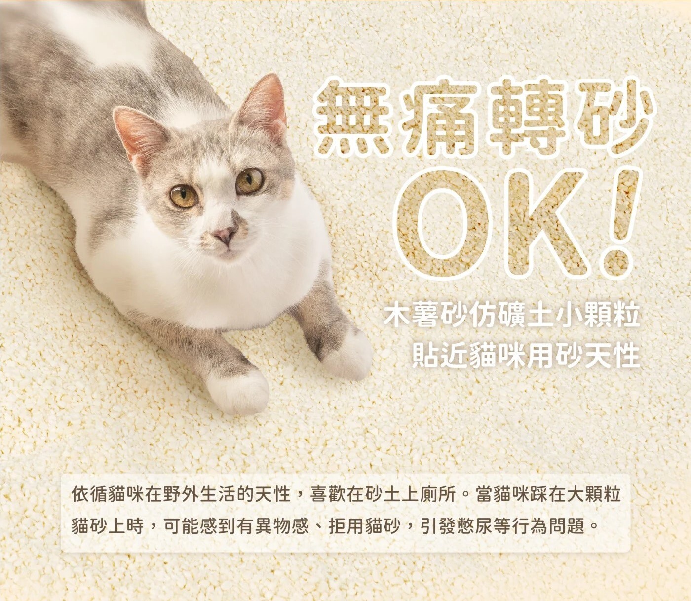 汪喵星球｜益生菌消臭瞬凝木薯砂 2.4kg (單包賣場)