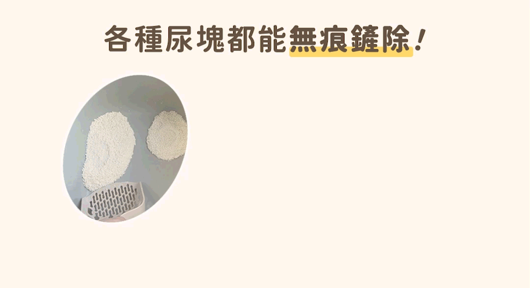 汪喵星球｜益生菌消臭瞬凝木薯砂 2.4kg (單包賣場)