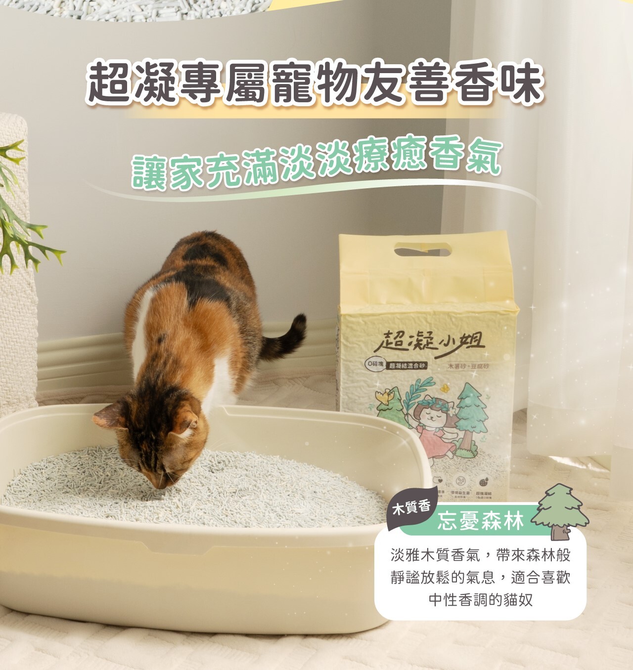 超凝小姐 | 0碎塊超凝結混合貓砂-忘憂森林香 2.4kg (單包賣場)