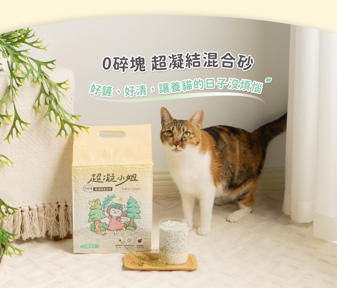 超凝小姐 | 0碎塊超凝結混合貓砂-忘憂森林香 2.4kg (單包賣場)