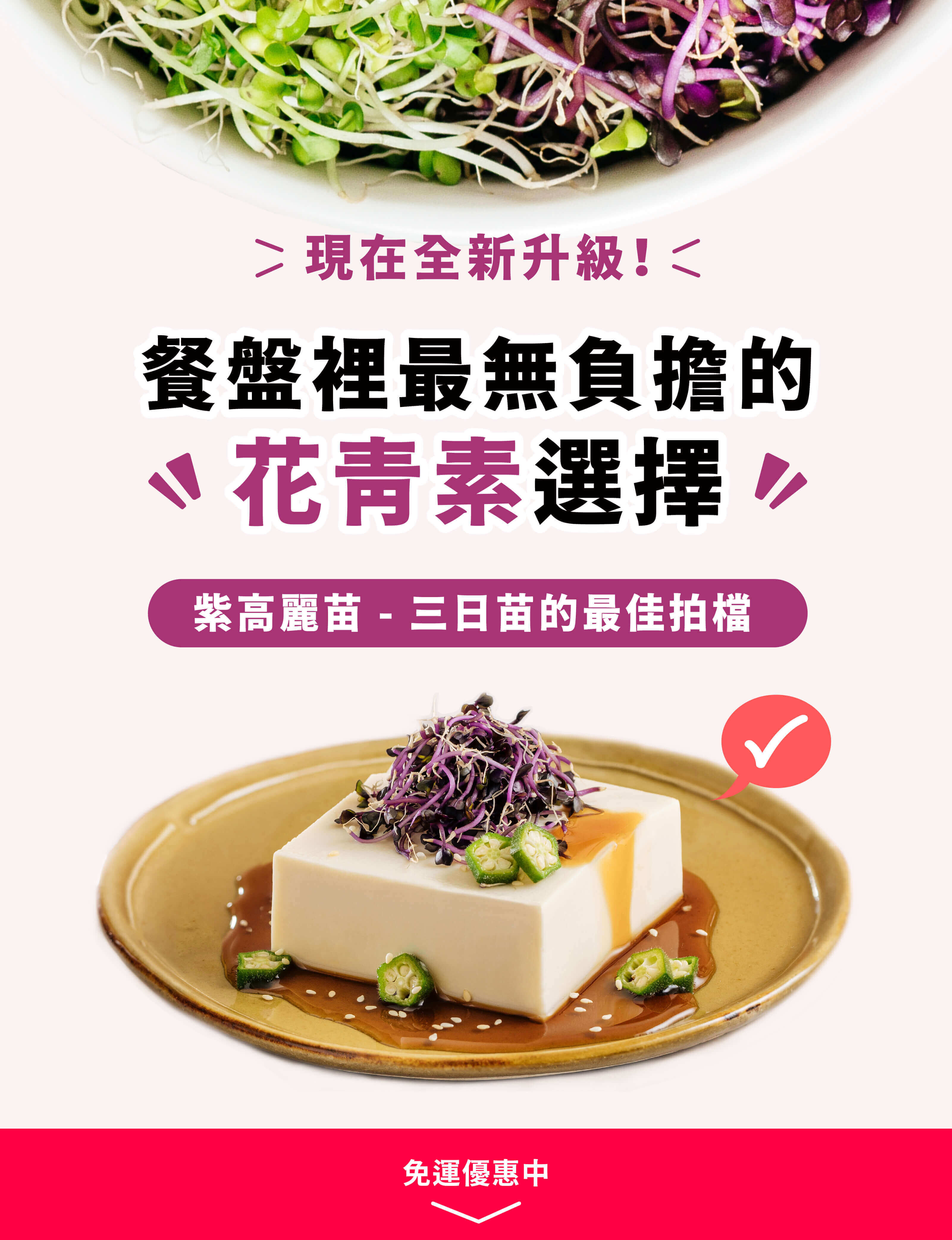 紫高麗苗x三日苗組合