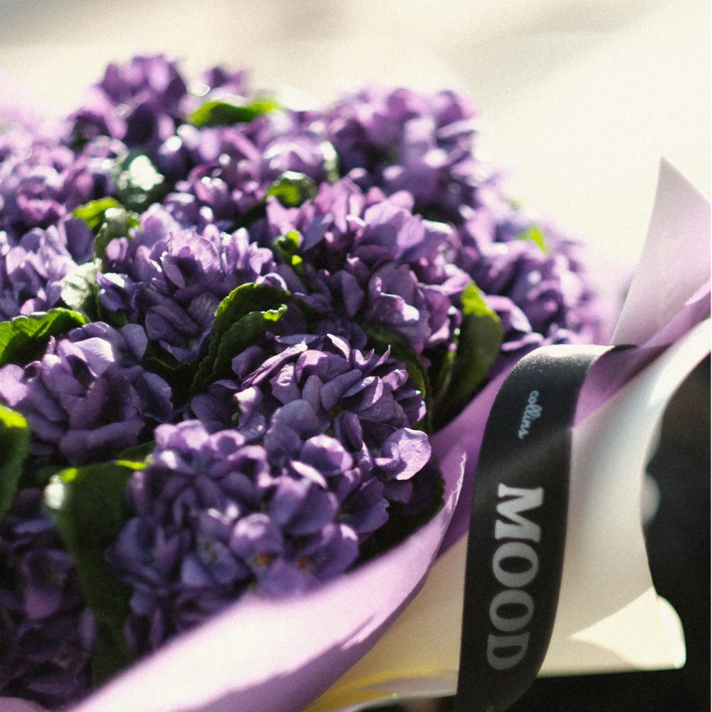 Collins 無酒精天然香氛噴霧 南法紫羅蘭