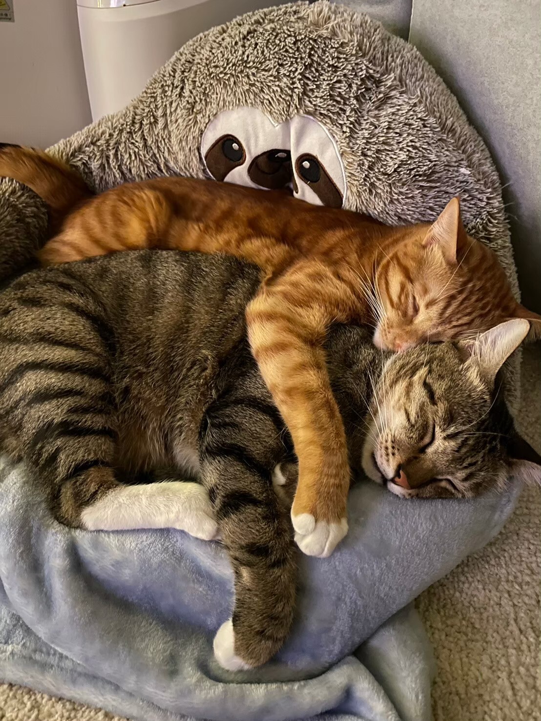 官網下單抽獎贈品賣場