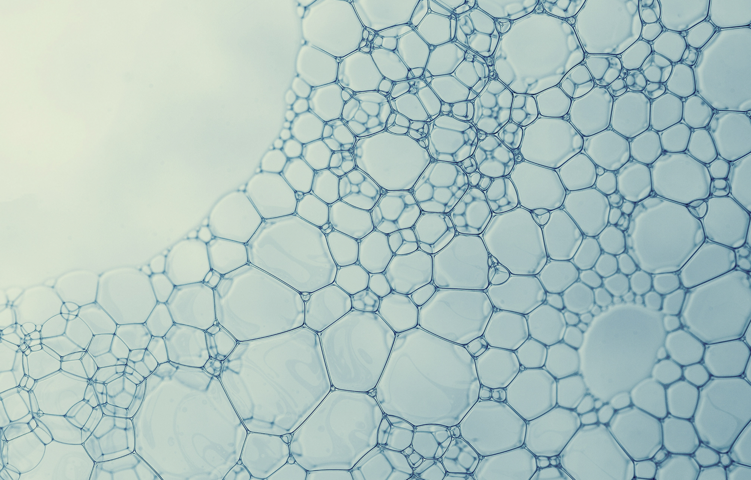 深層沁潤身心-4