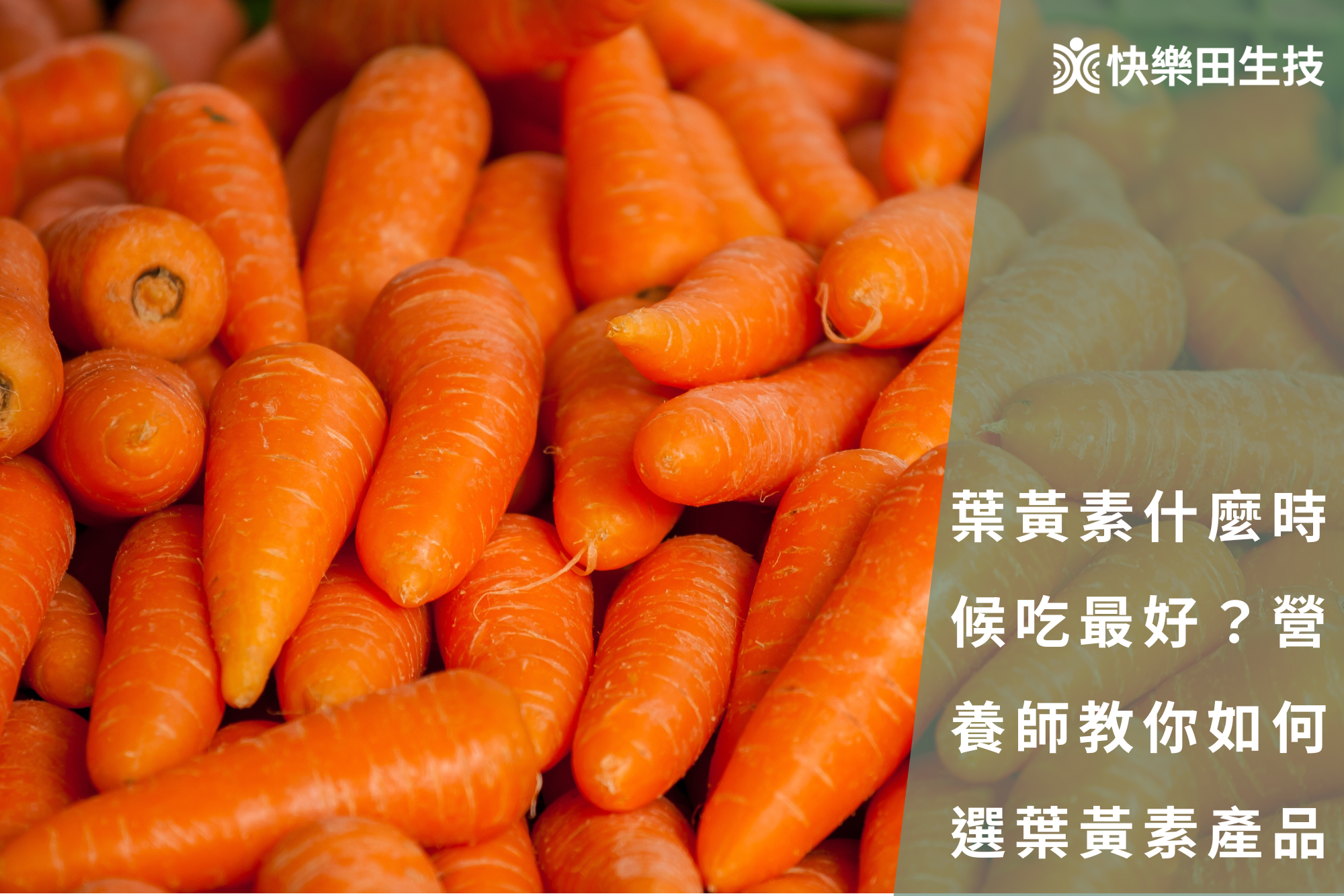 葉黃素什麼時候吃最好？營養師教你如何挑選葉黃素產品