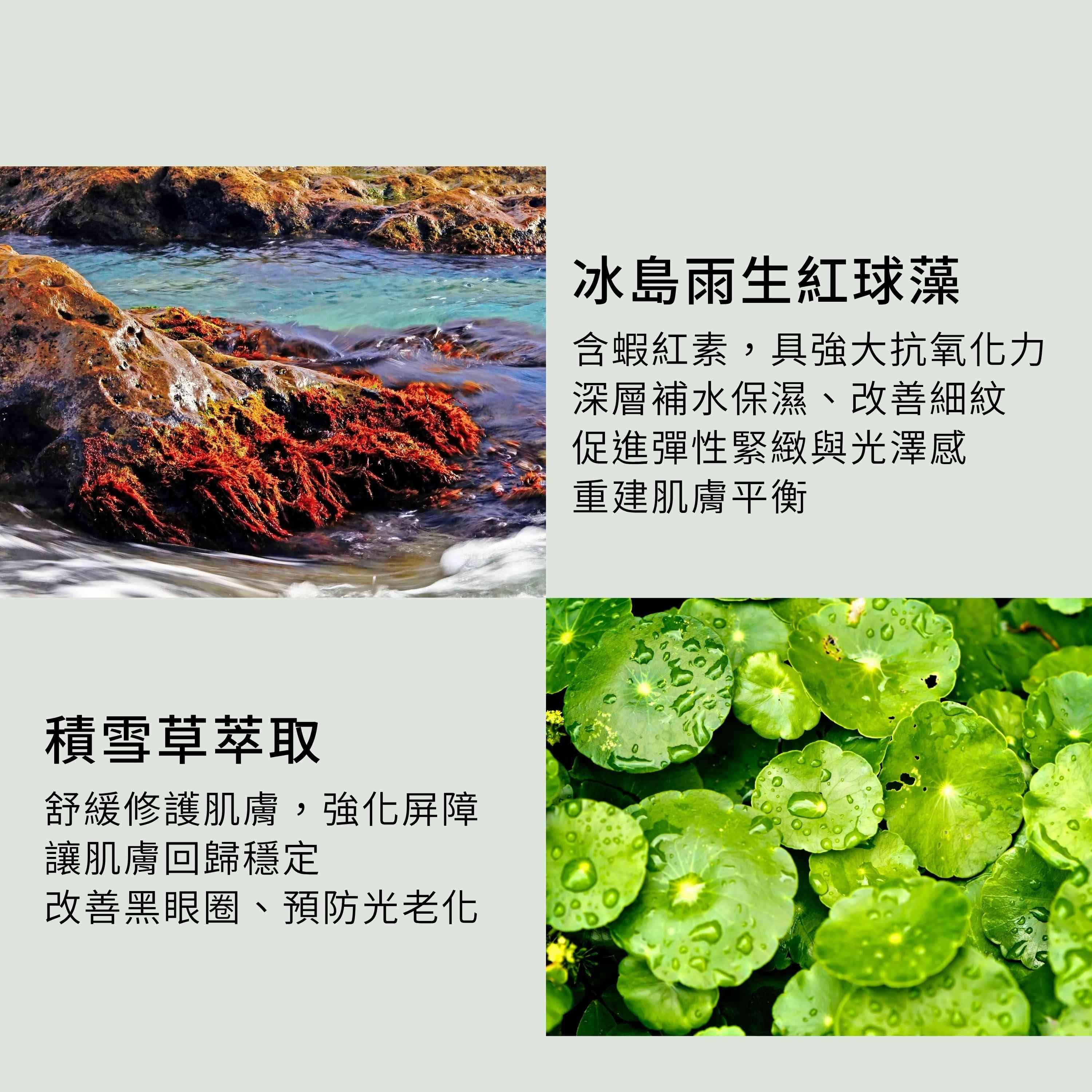 乳香鎖潤組含3大抗老能量,包含冰島雨生紅球藻與積雪草萃取