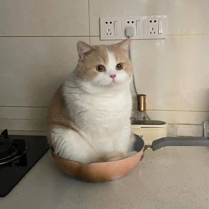 測試 訂單編輯- 物流無郵局