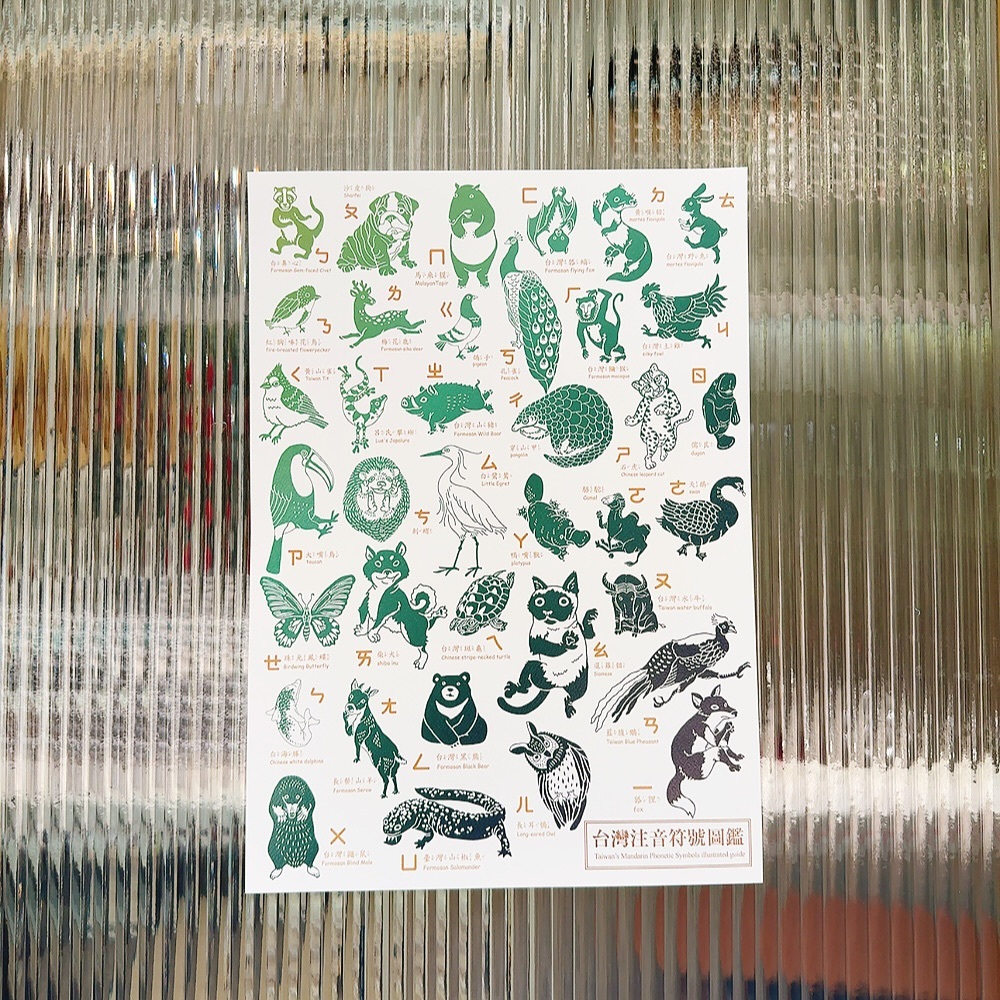 ㄅㄆㄇ圖鑑 台灣注音 A3海報 複製畫｜針線球
