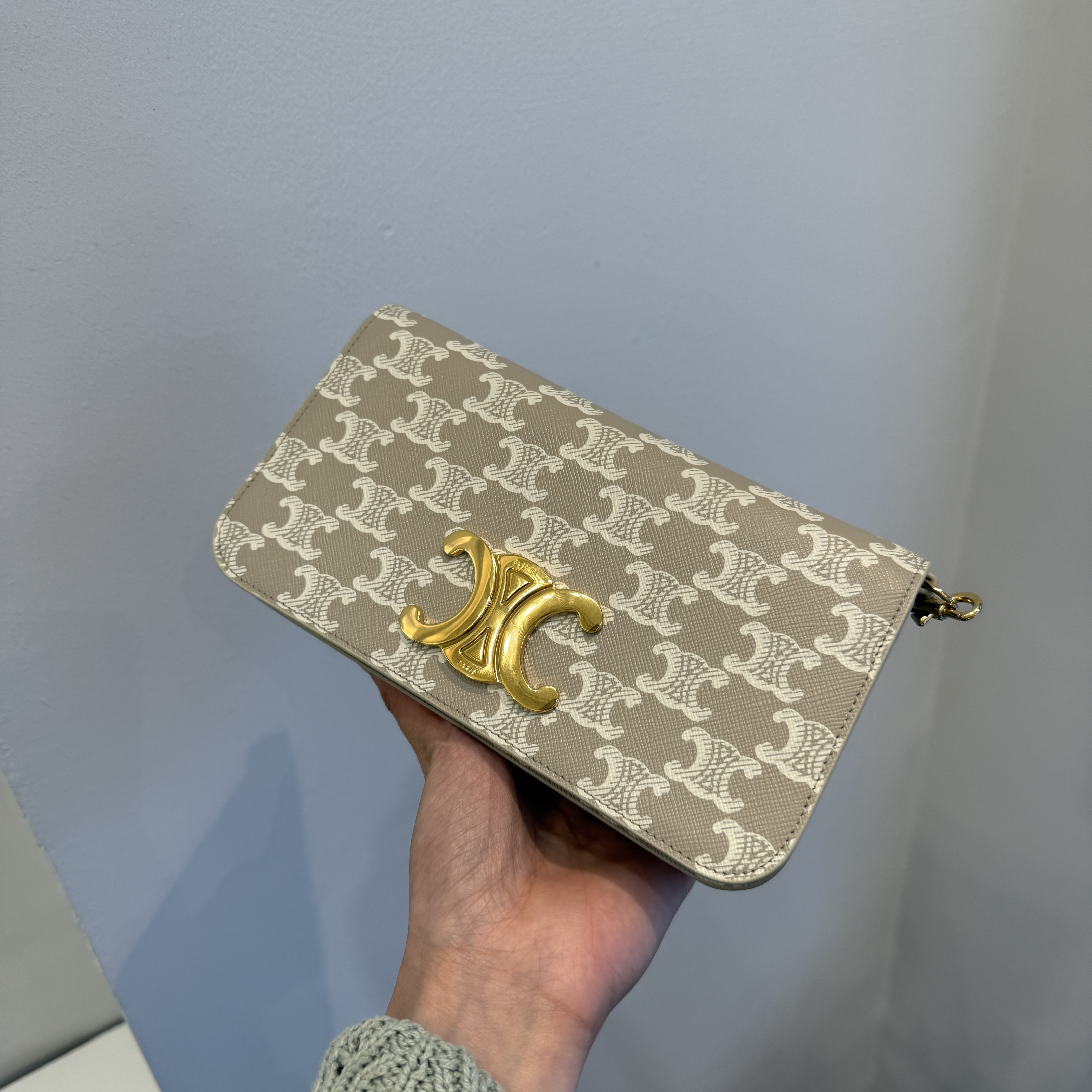 Celine Triomphe Canvas Wallet on Chain Bag