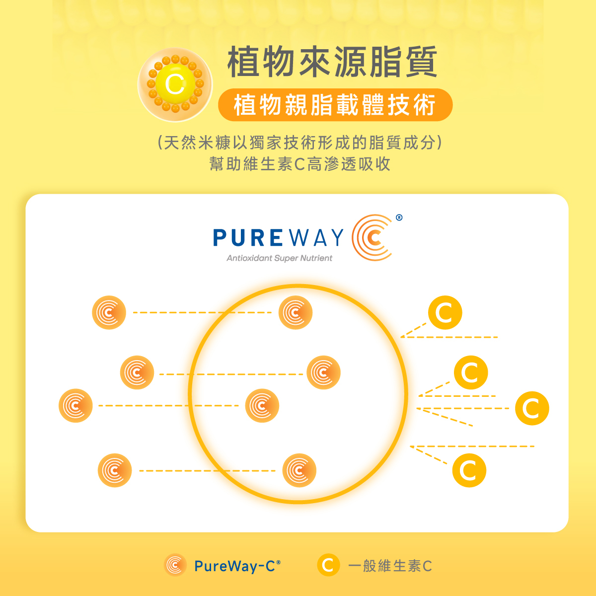 植物來源.PUREWAY C