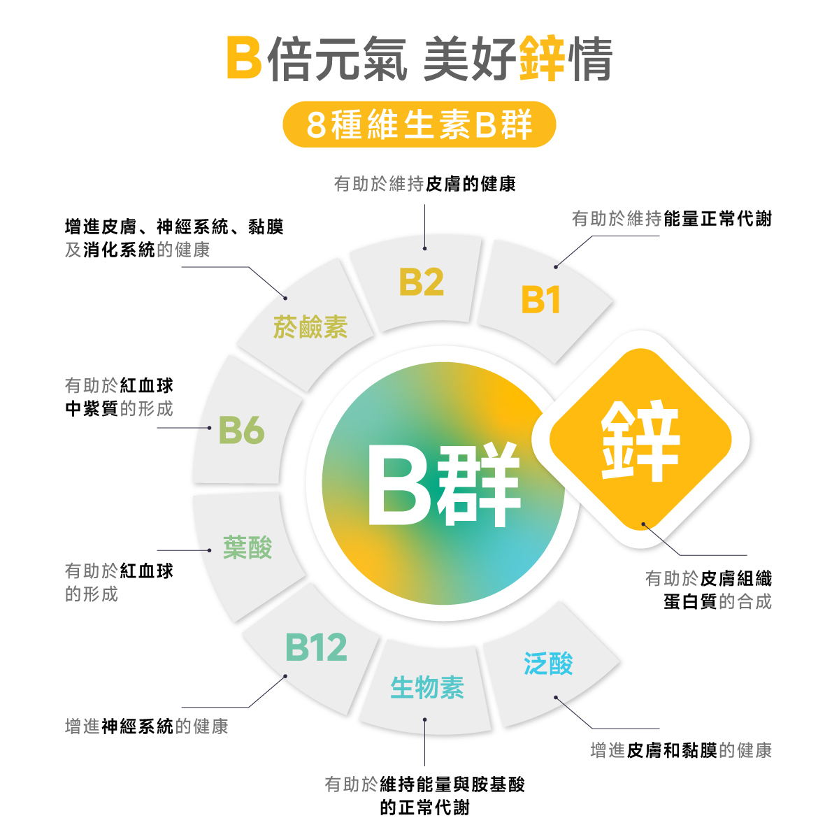 B群.維生素.維他命.鋅.ZN