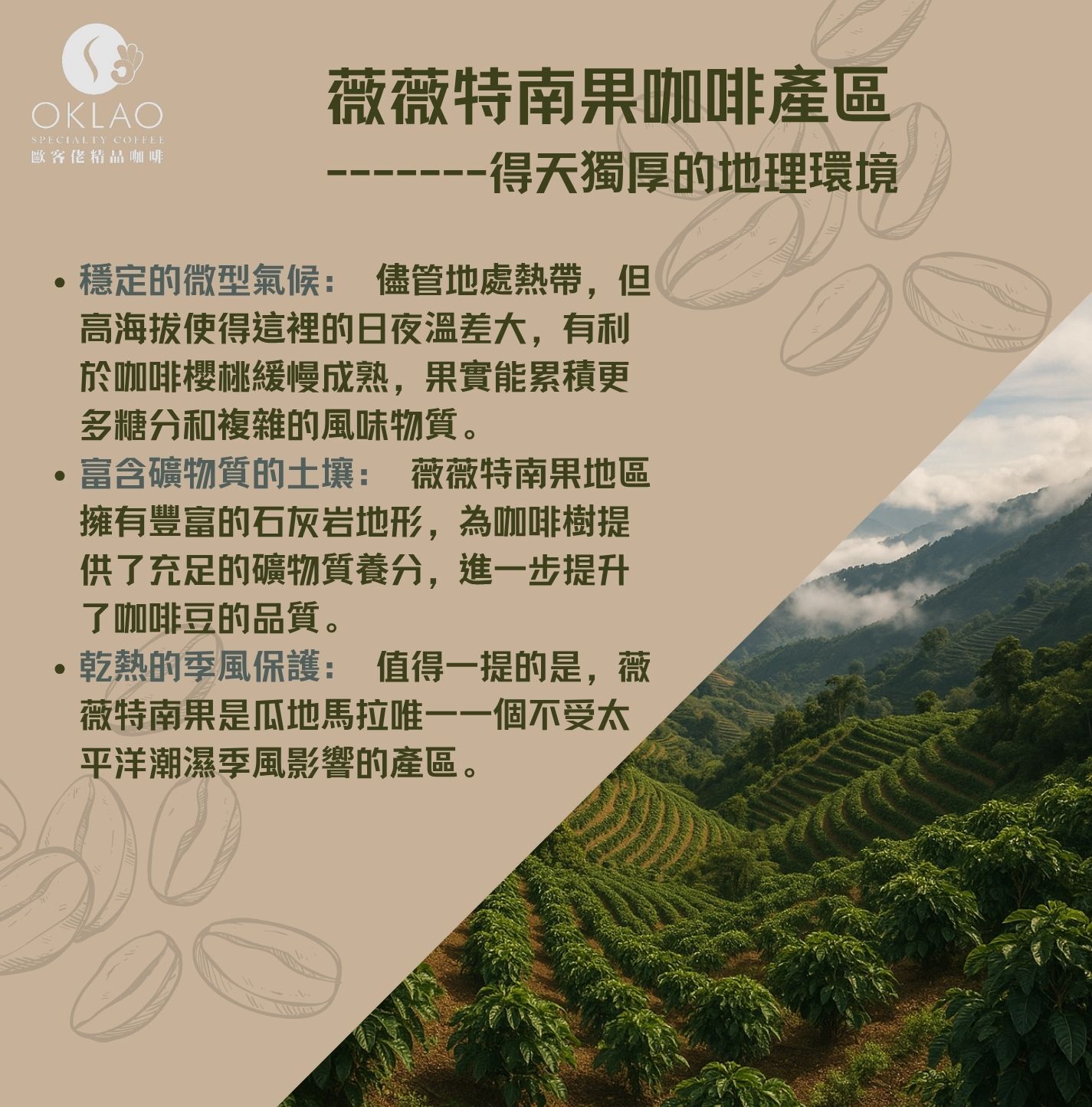 薇薇特南果產區 薇薇特南果咖啡 薇薇特南果 瓜地馬拉 瓜地馬拉咖啡 瓜地馬拉產區 咖啡產區 單品咖啡 精品咖啡 咖啡知識
