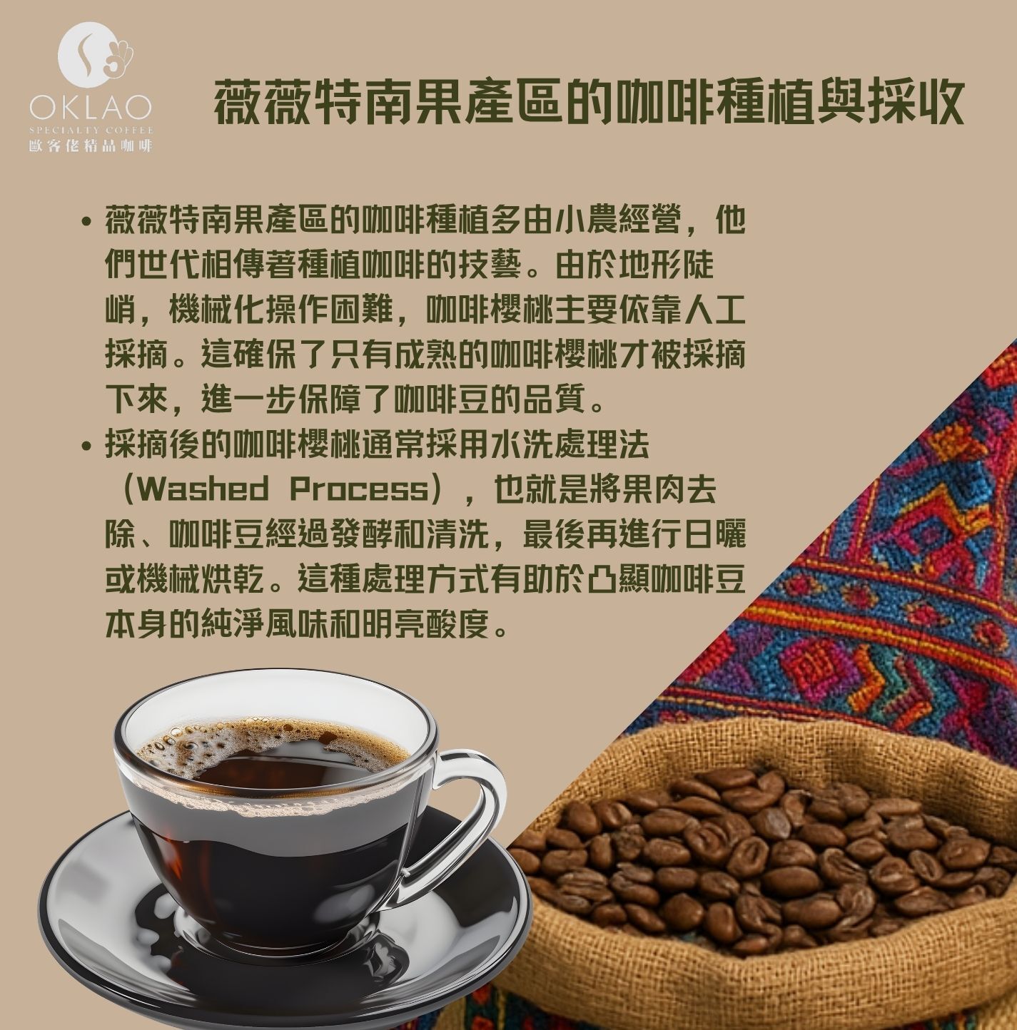 薇薇特南果產區 薇薇特南果咖啡 薇薇特南果 瓜地馬拉 瓜地馬拉咖啡 瓜地馬拉產區 咖啡產區 單品咖啡 精品咖啡 咖啡知識