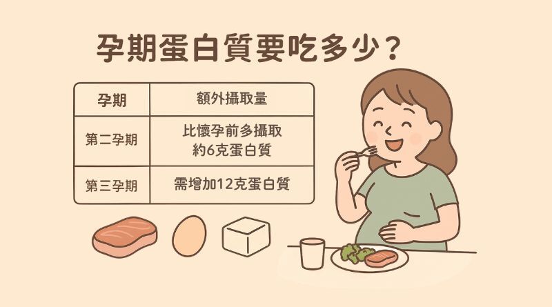 蛋白質的攝取量：怎麼吃才夠？