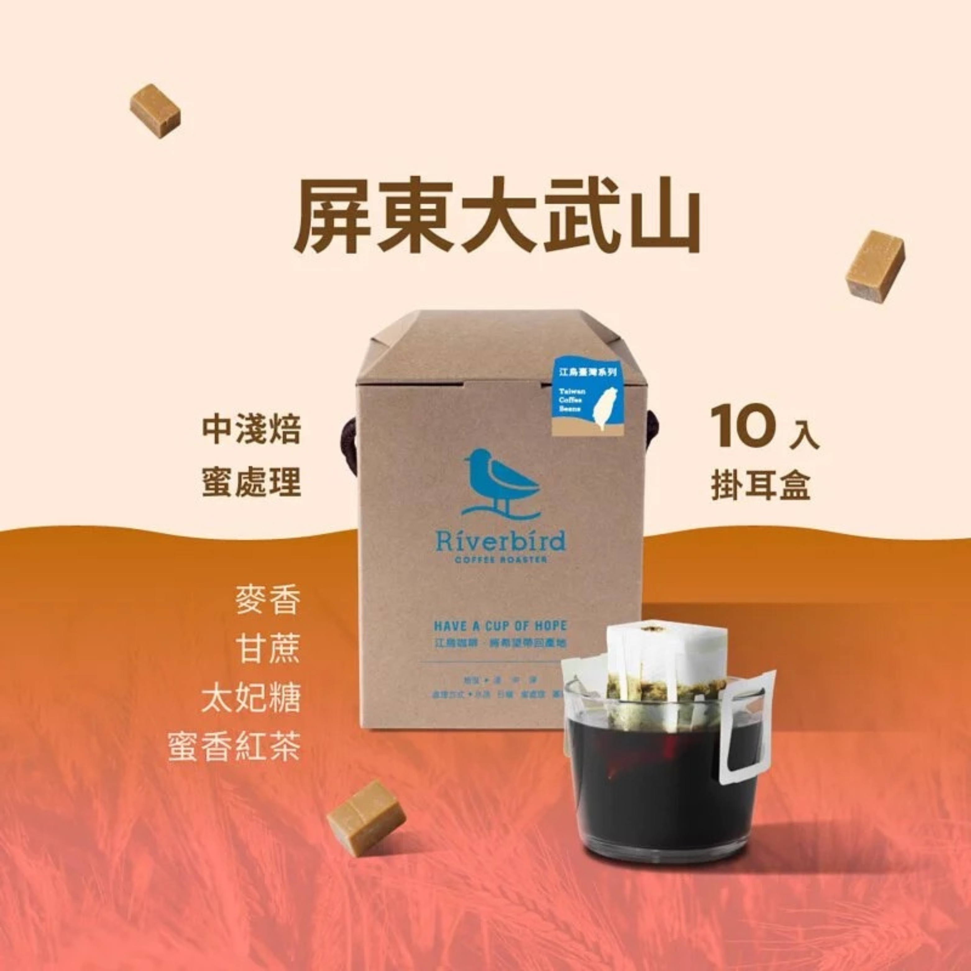 【Riverbird】《10入掛耳》鴻豆・屏東大武山 中淺焙