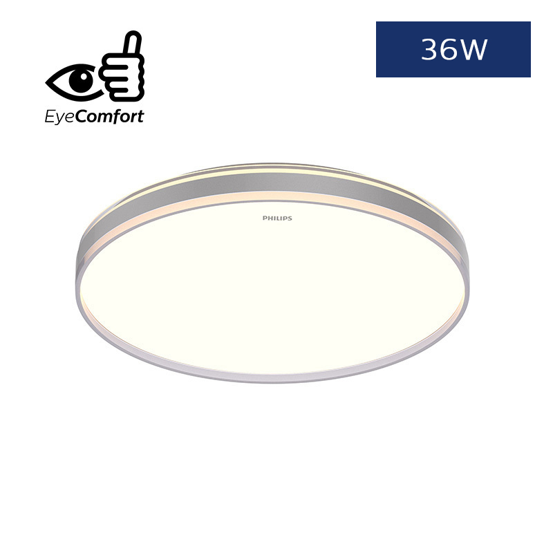 CL529 Round SceneSwitch Ceiling Light (36W)