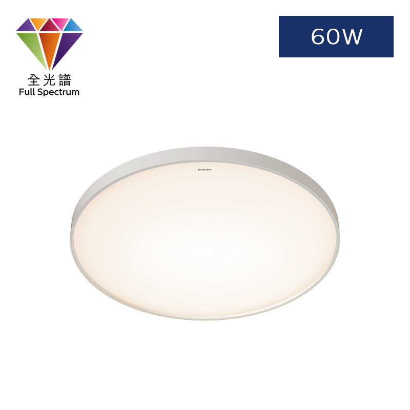 花器 ZX307 圓形AIO 多功能天花燈(60W)