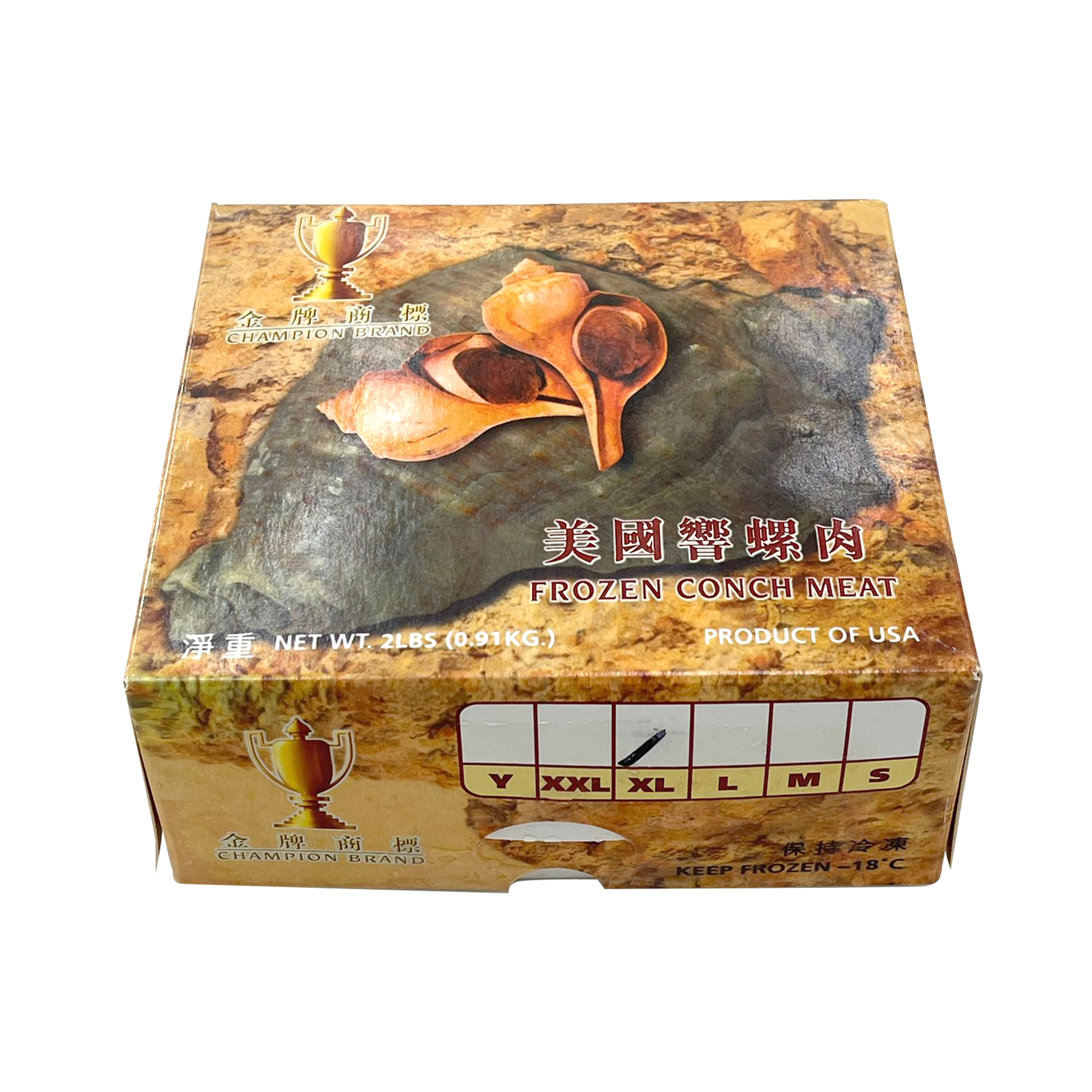 法螺貝 約40㎝ 木製歌口,新品 MH-471 法螺貝 約40㎝ 木製歌口,新品 MH-466
