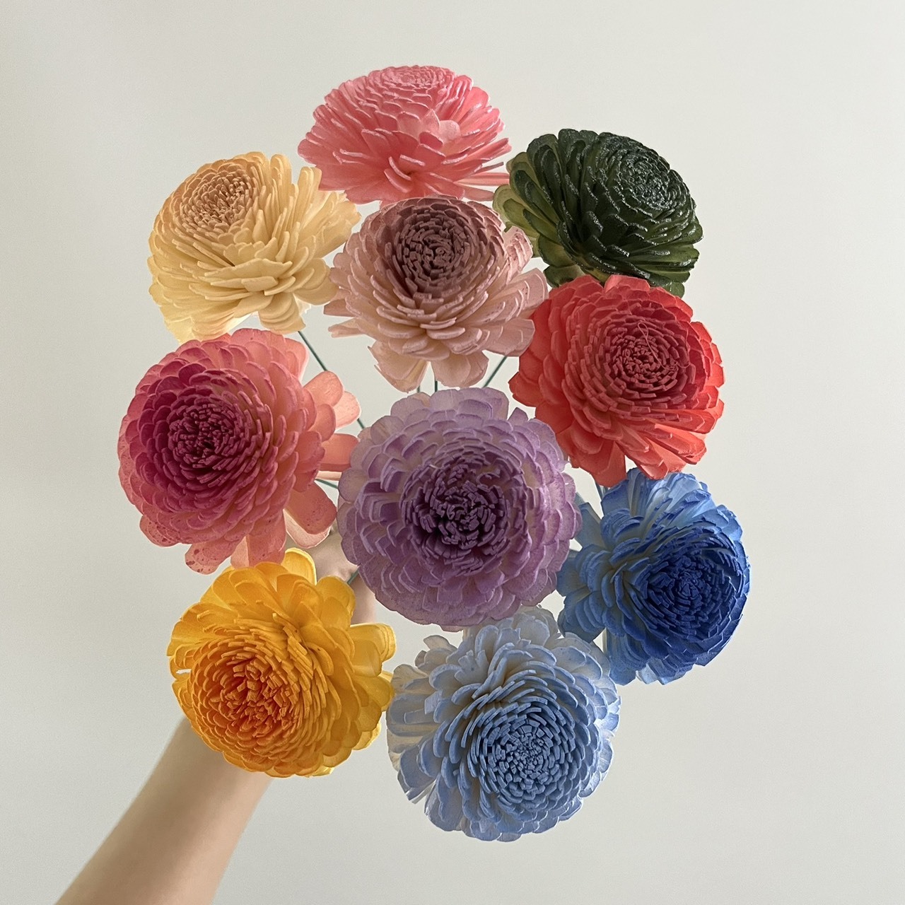 泰國索拉花 貝力玫瑰 6CM  <十支一把>  (高品質)