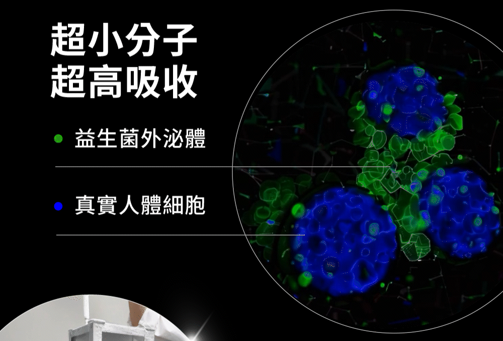 190度C提煉超高活性，高科技封存、效果立即、功效不流失