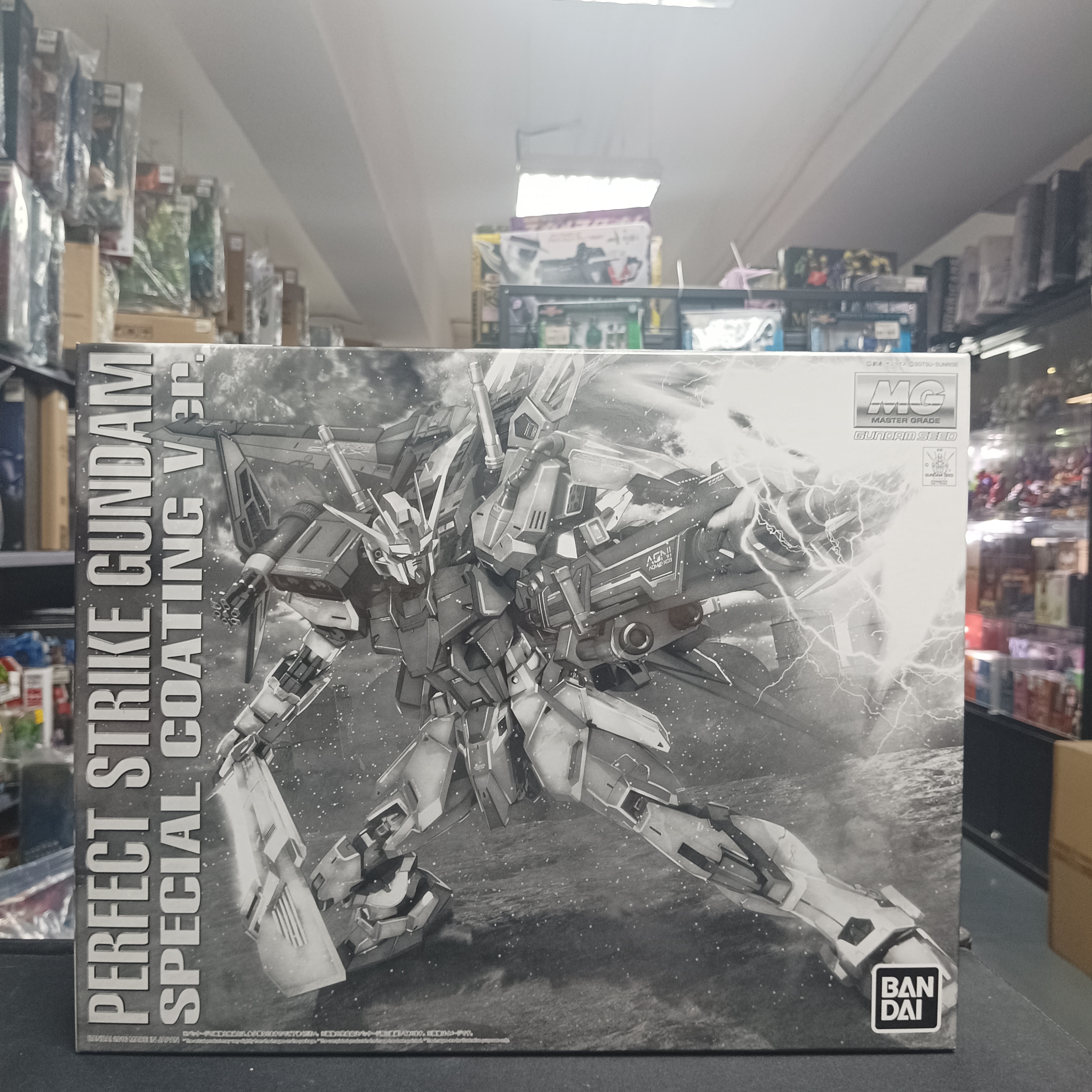 MG 1/100 Perfect Strike special coating