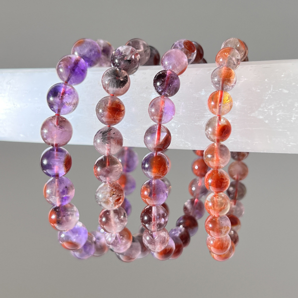 荊棘玫瑰極光23