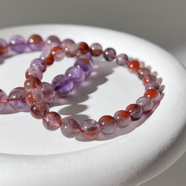 荊棘玫瑰極光23