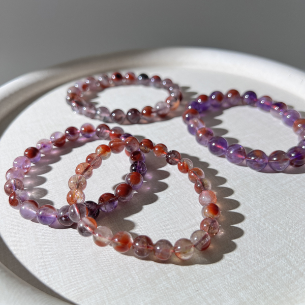 荊棘玫瑰極光23