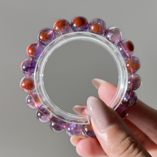 荊棘玫瑰極光23