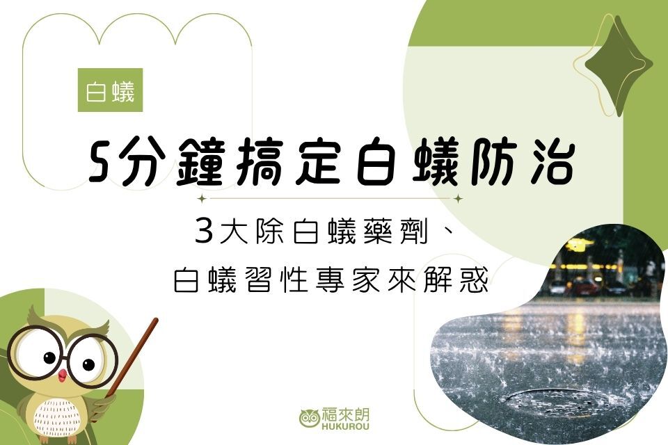 5分鐘搞定白蟻防治！3大除白蟻藥劑、白蟻習性專家來解惑