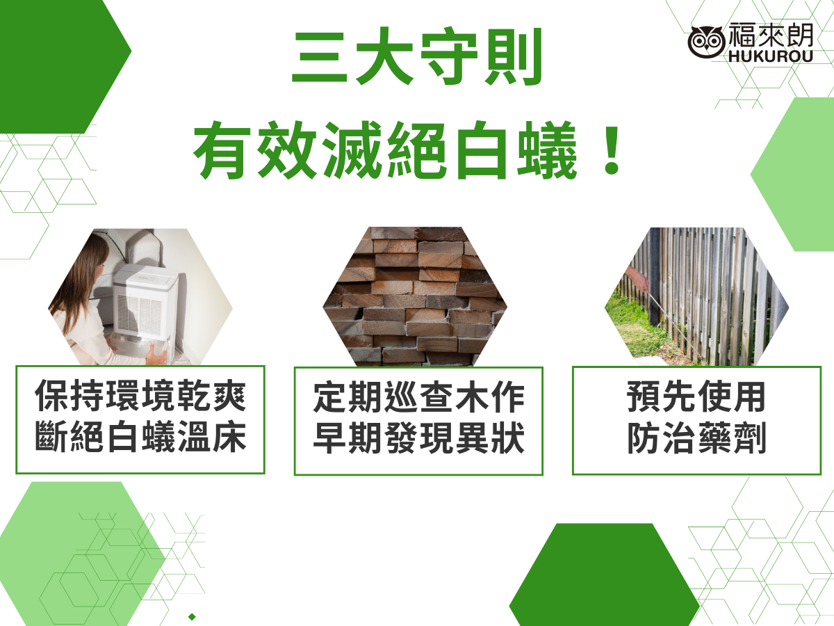 白蟻防治要點，預防勝於治療！