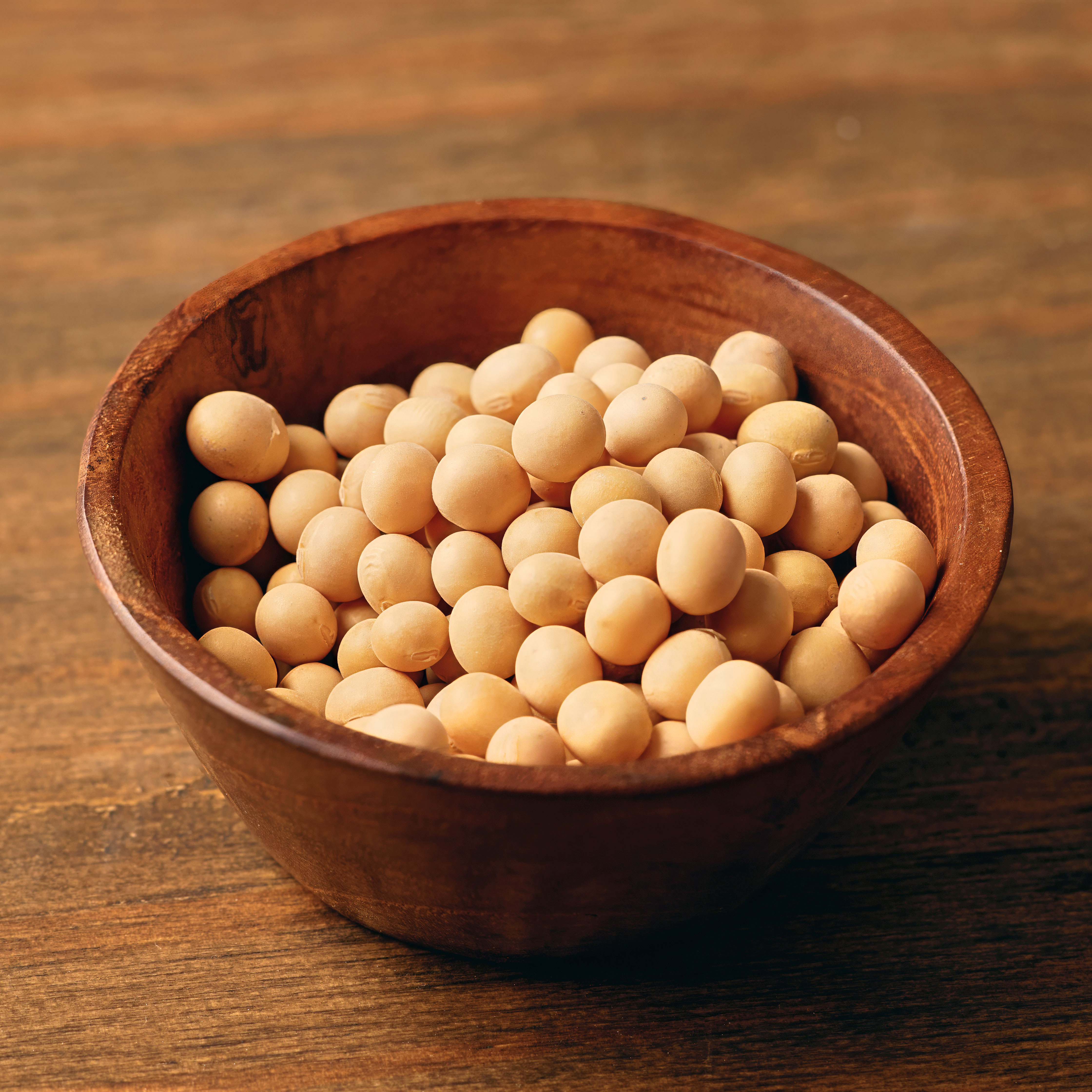 加拿大非基改黃豆