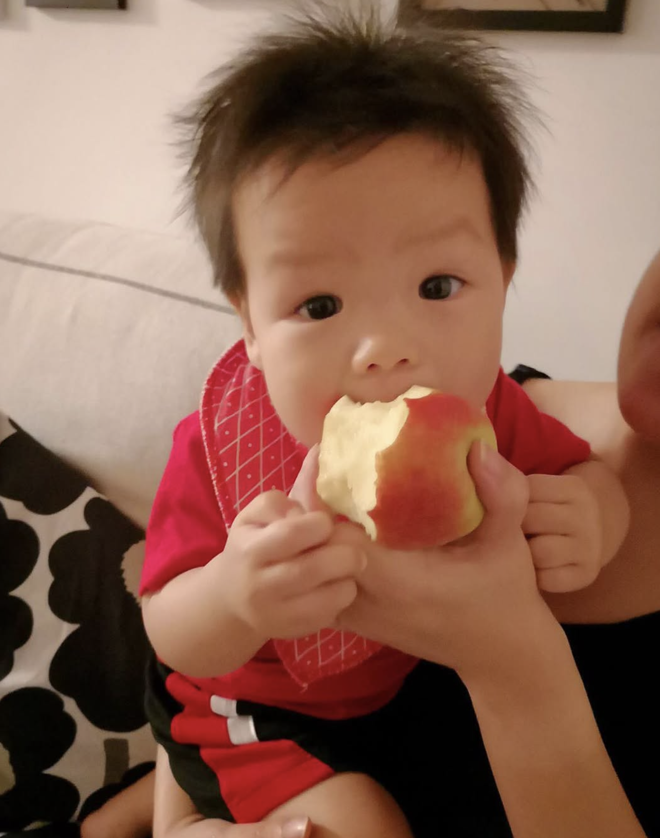 我:那明明是我正在吃的蘋果呀!寶寶你怎麼搶了來吃????