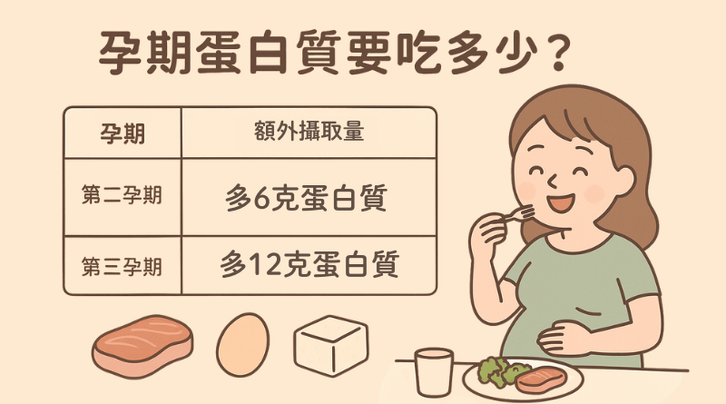 蛋白質的攝取量：怎麼吃才夠？