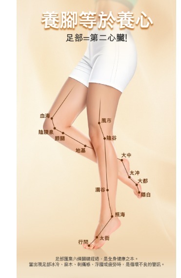 (3912)eefit 依飛 - 能量足輕鬆