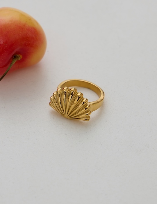 【鈦鋼】海洋假期貝殼戒指(金)