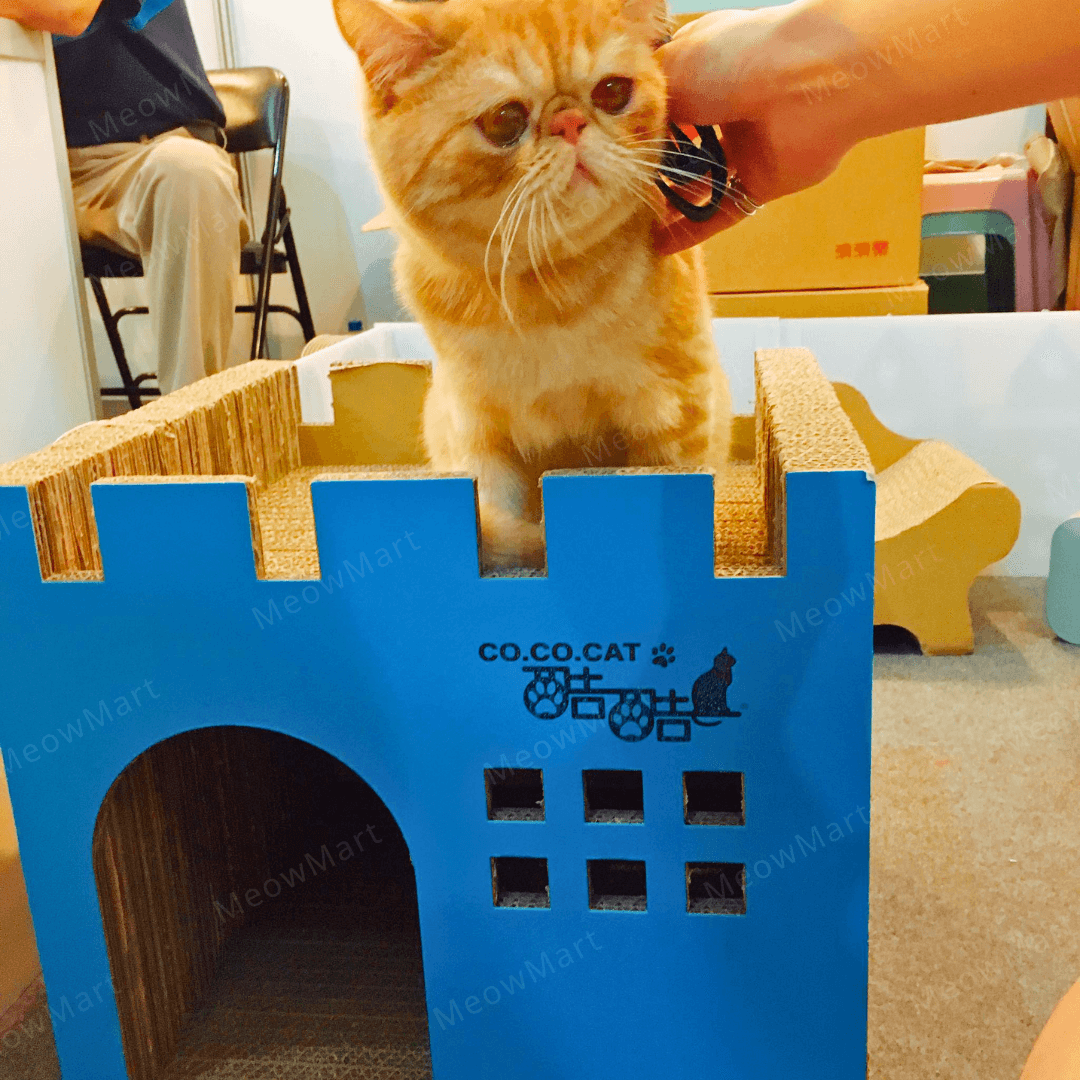 台灣CO.CO.CAT酷酷貓｜豪華城堡貓抓板